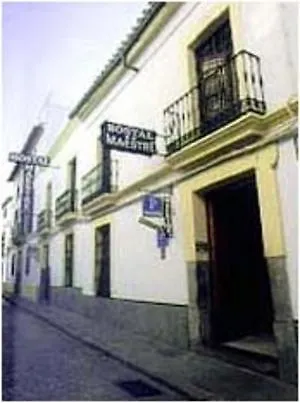 Hotel Maestre Cordoba