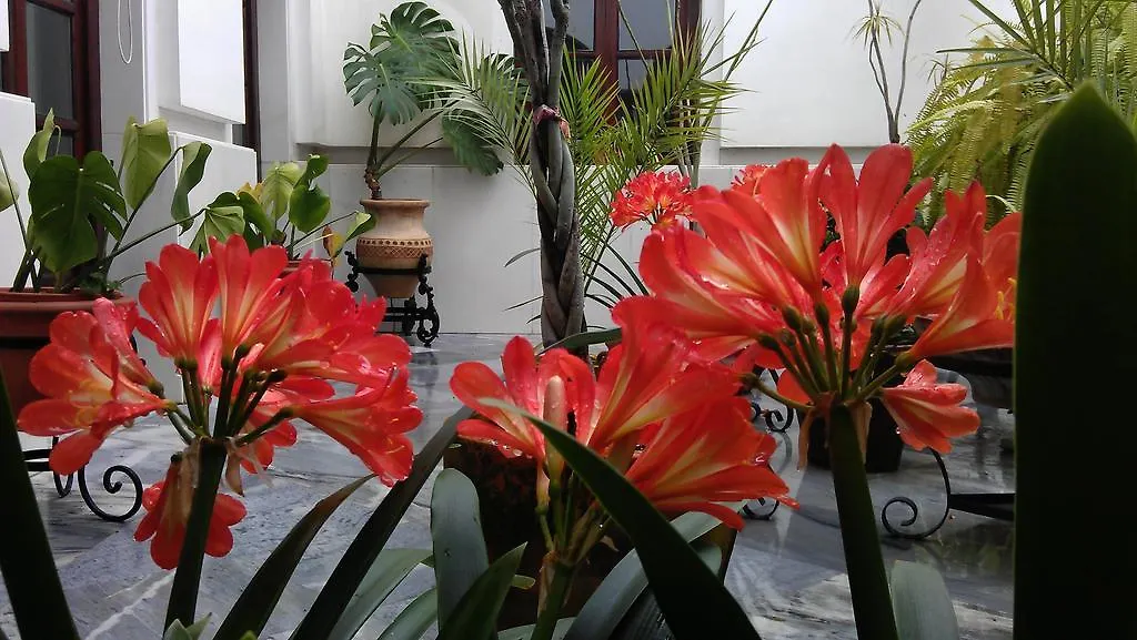 Hotel Maestre Cordoba